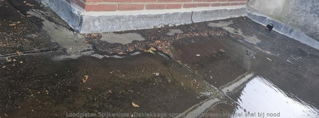 Daklekkage spoed Spijkenisse: Handel snel bij nood