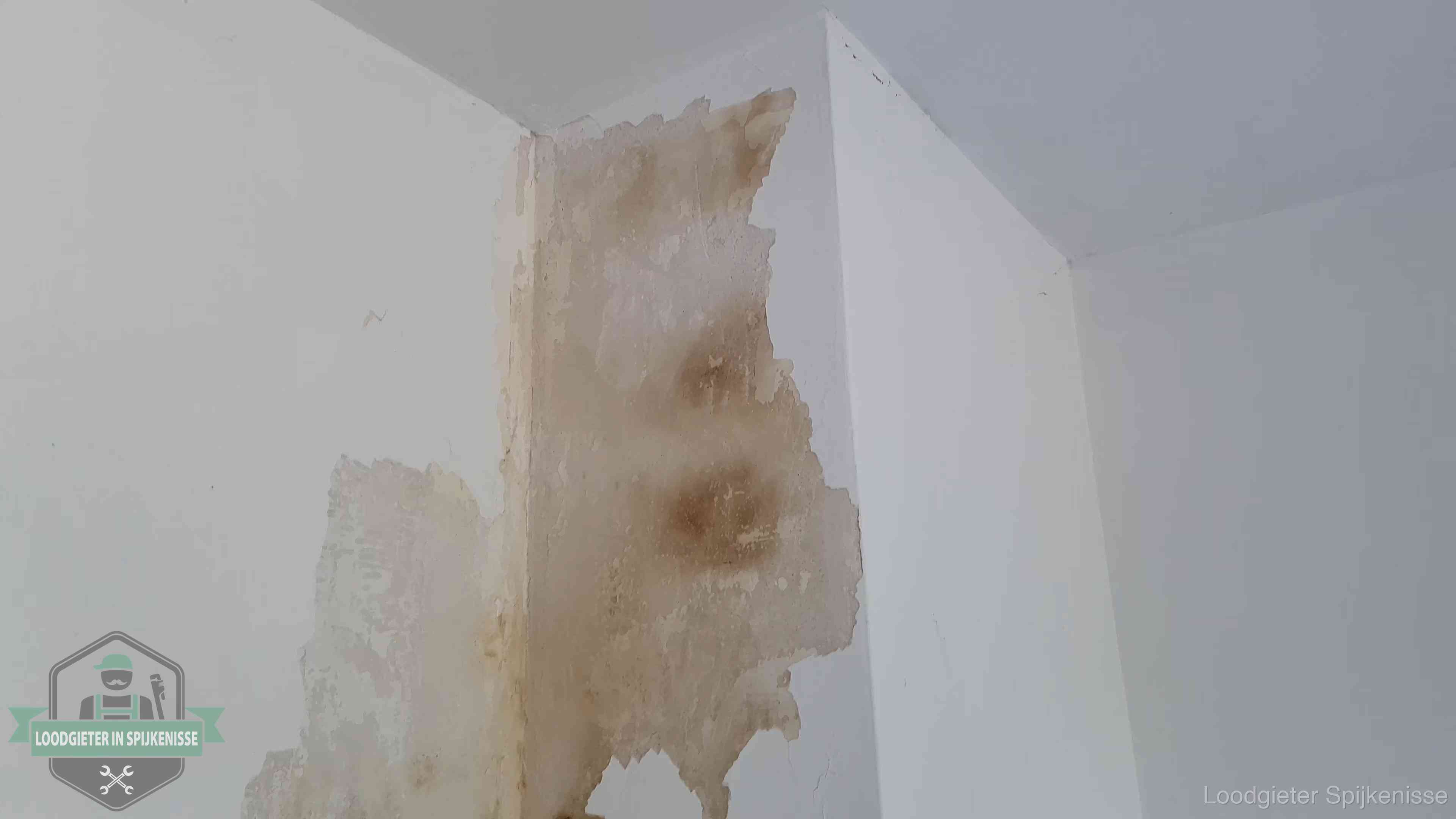 Daklekkage herkennen in Spijkenisse Bruine vochtkringen en afbladderend stucwerk op een binnenmuur in Spijkenisse, een eerste teken van daklekkage