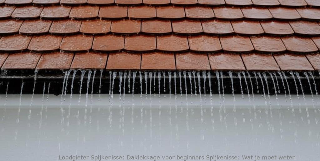 Daklekkage voor beginners Spijkenisse: Wat je moet weten
