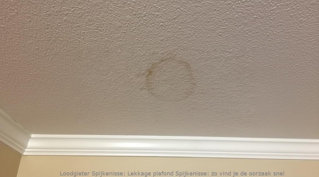 Lekkage plafond Spijkenisse: zo vind je de oorzaak snel