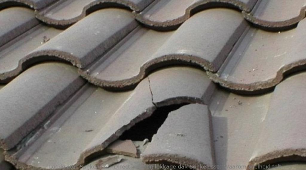 Direct actie bij lekkage dak Spijkenisse: Waarom snelheid telt