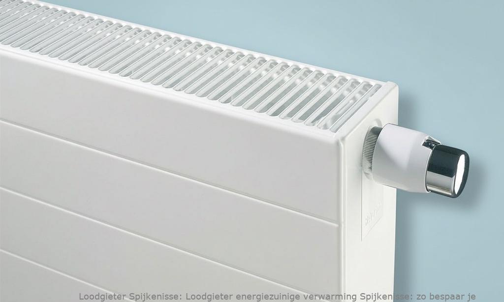Loodgieter energiezuinige verwarming Spijkenisse: zo bespaar je
