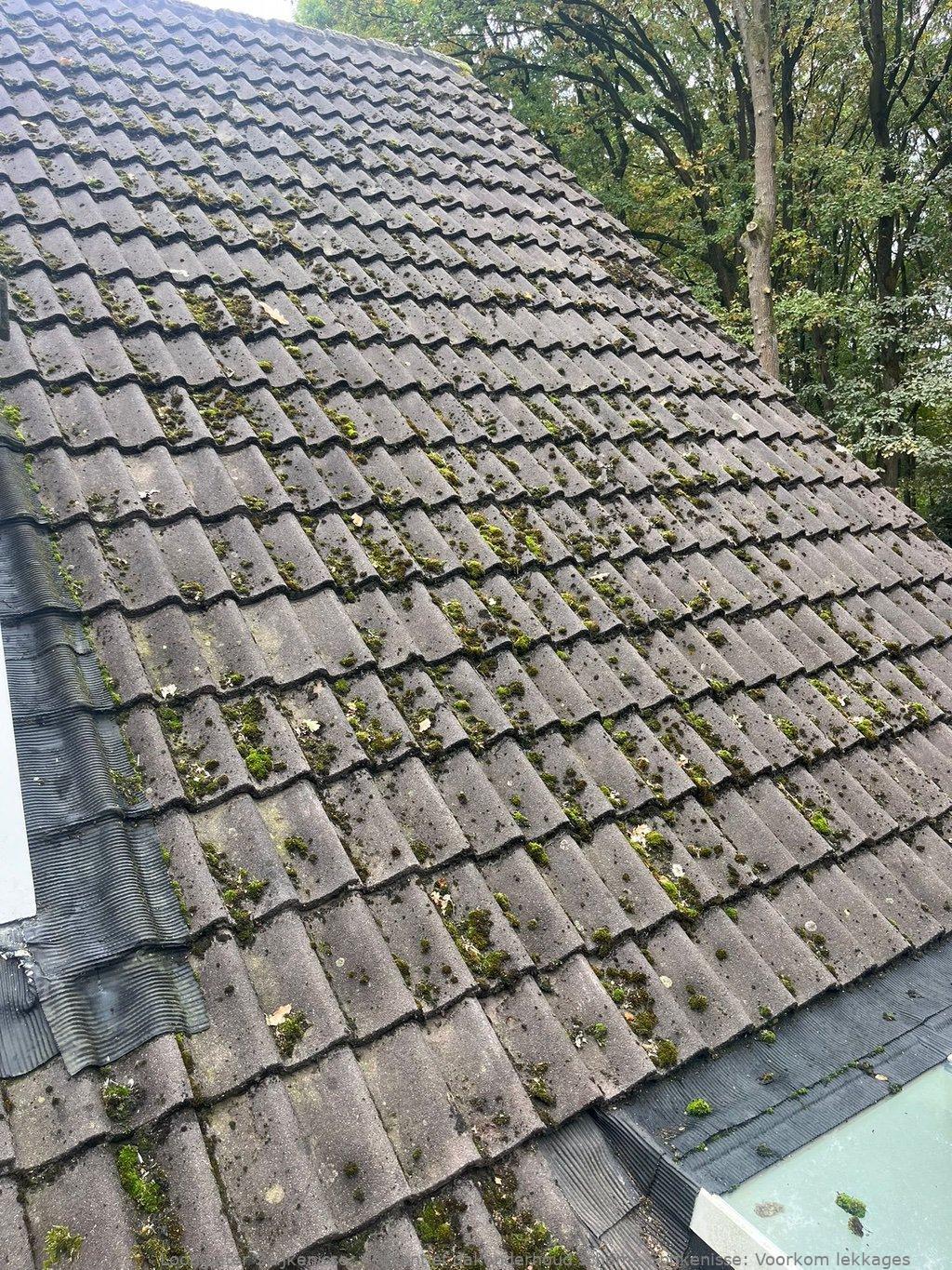 Preventief dakonderhoud schema Spijkenisse: Voorkom lekkages