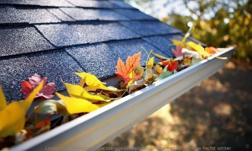 Seizoensgebonden rioolproblemen Spijkenisse herfst winter