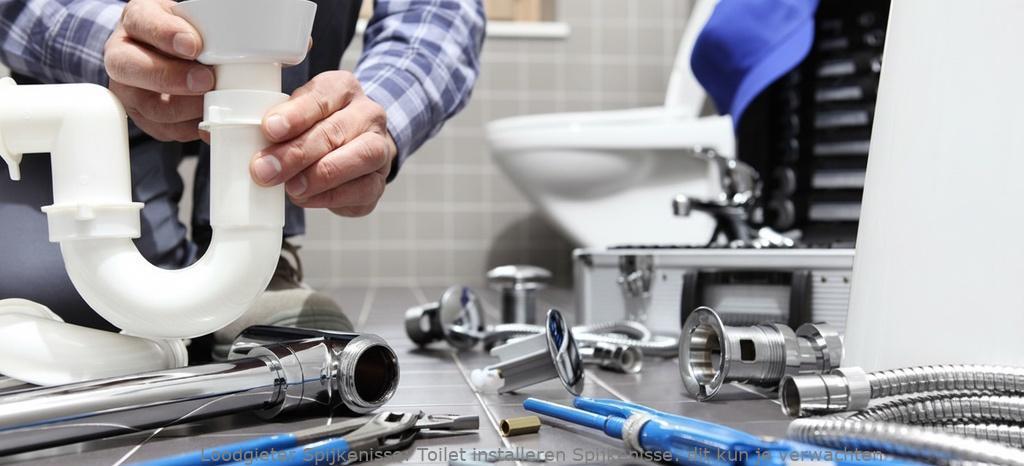 Toilet installeren Spijkenisse: dit kun je verwachten