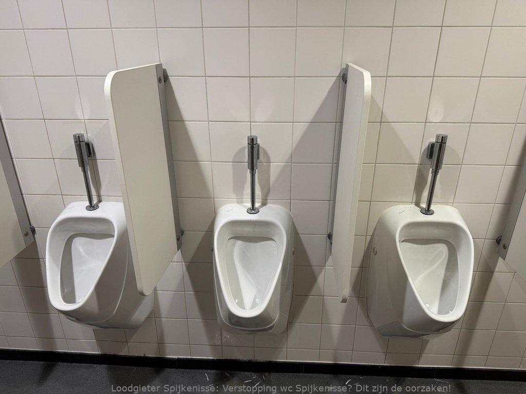 Verstopping wc Spijkenisse? Dit zijn de oorzaken!