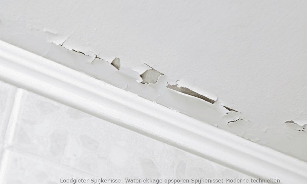 Waterlekkage opsporen Spijkenisse: Moderne technieken